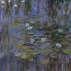 maria.taraboanta_claude.monet_blue.water.lilies